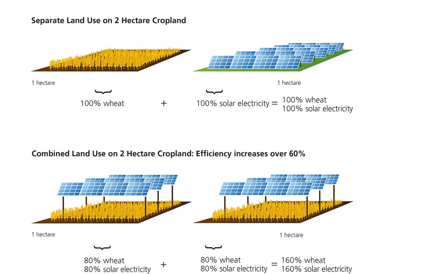 Harvesting The Sun The Growing Trend Of Agrivoltaics In Solar Energy